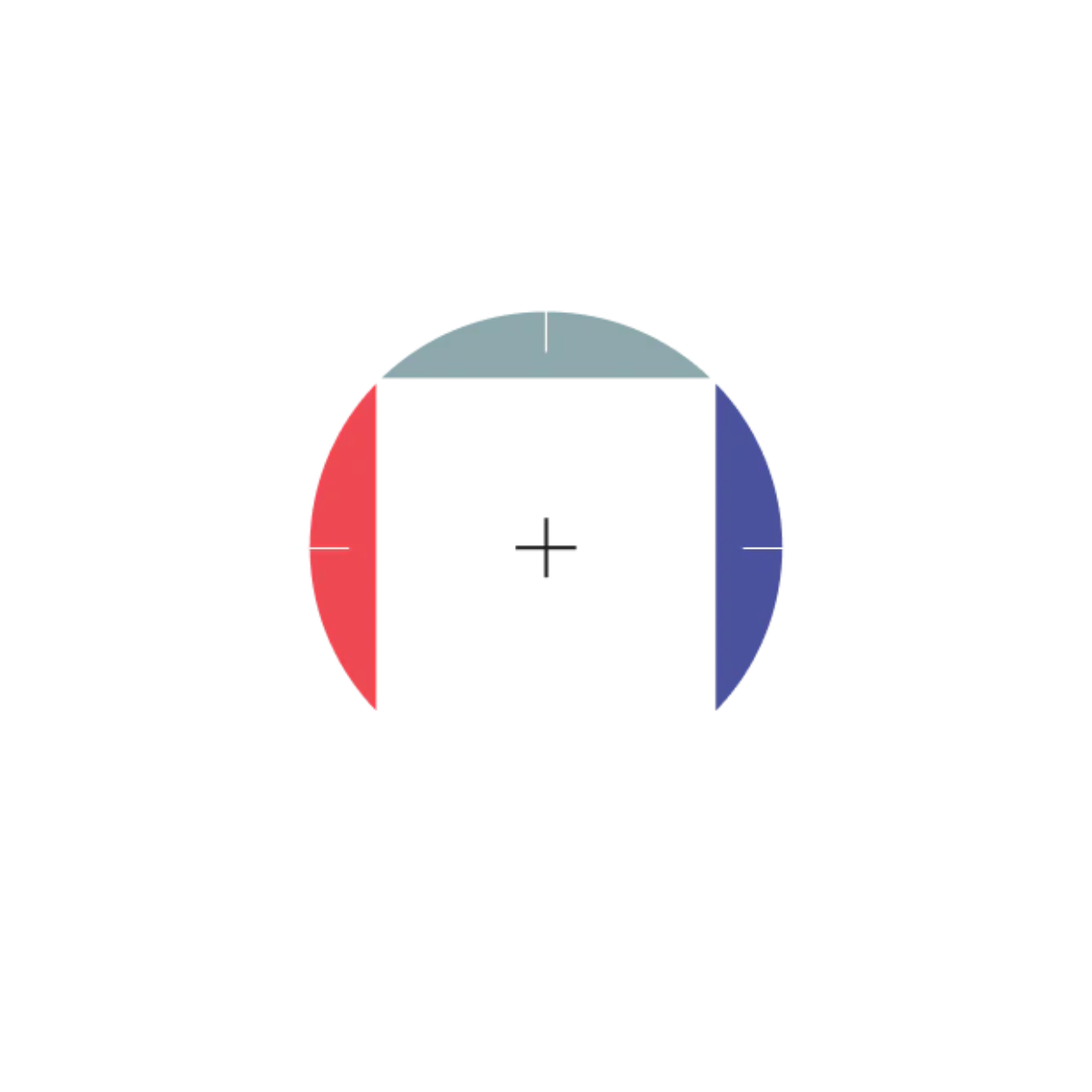 Capture the essential
