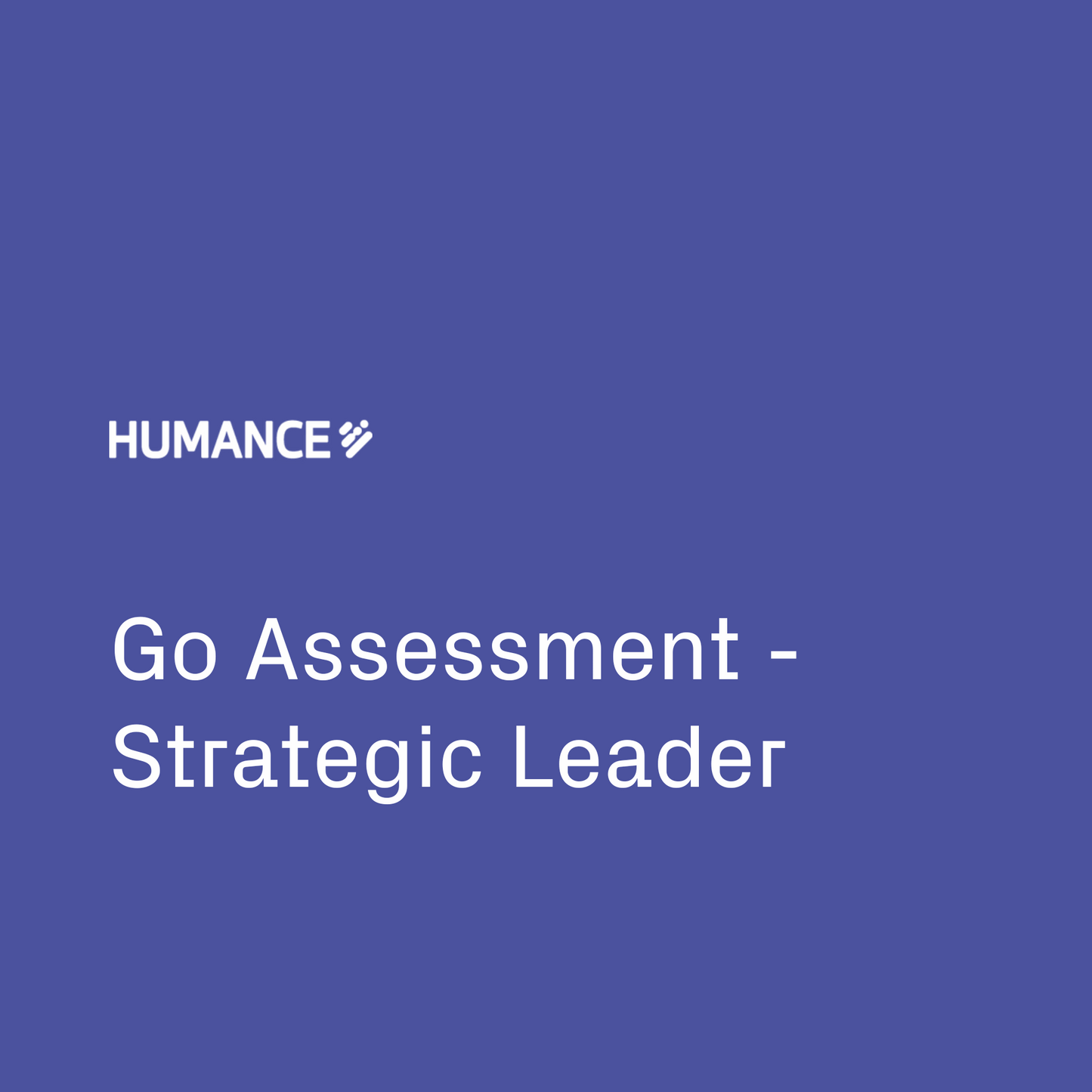 Go Assessment - Strategic Leader