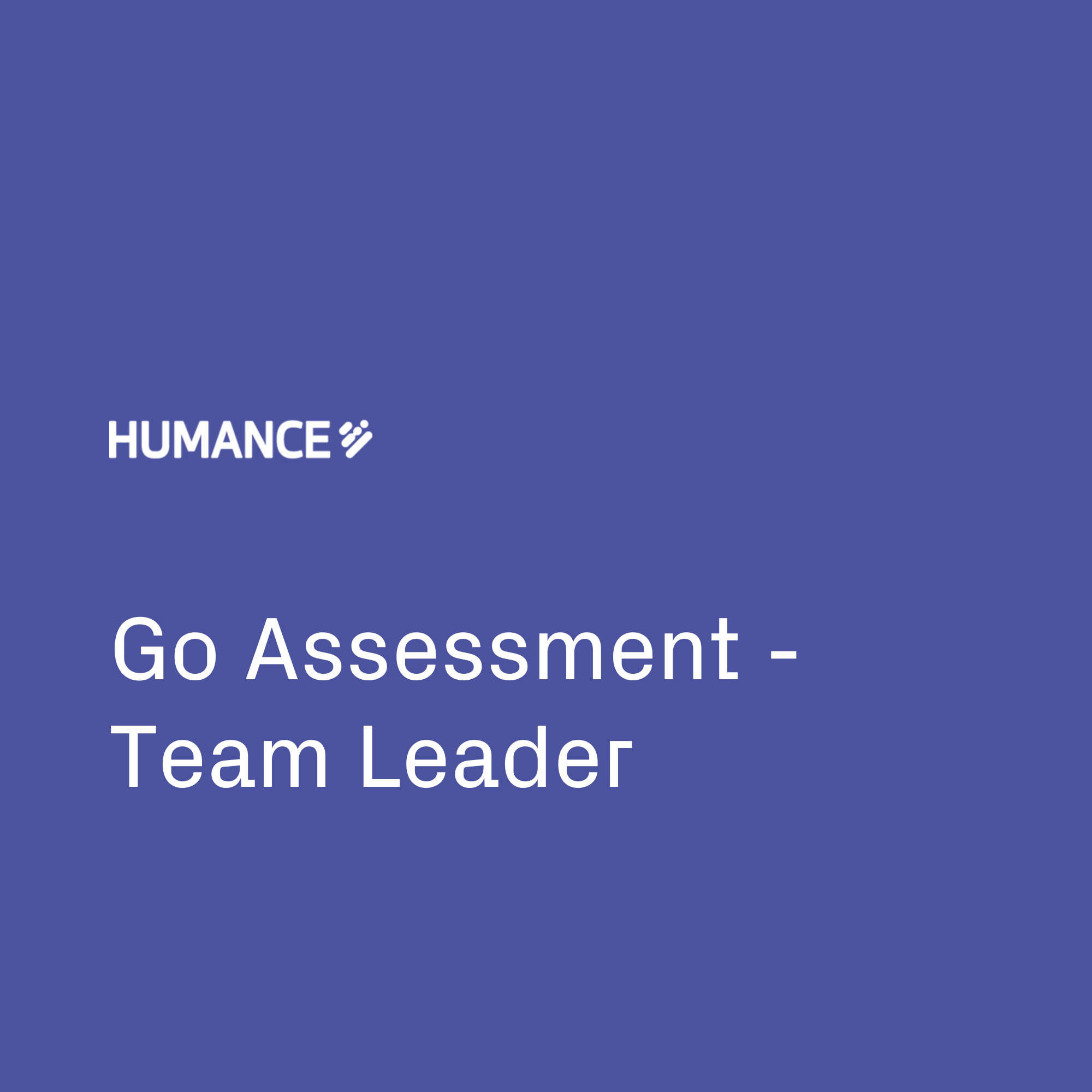 Go Assessment - Team Leader | Pixonality