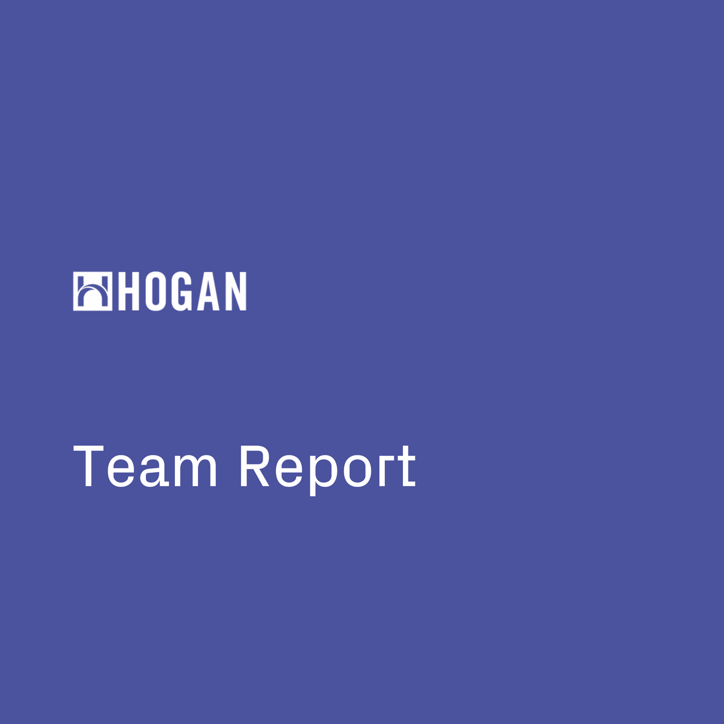 Team Report